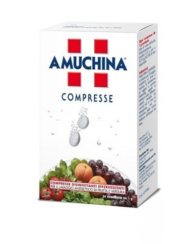 Amuchina Compresse 1g 24pz
